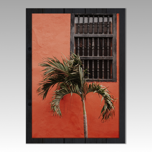 Cartagena Harmony: Palm Tree Elegance Against Red Walls Photography
